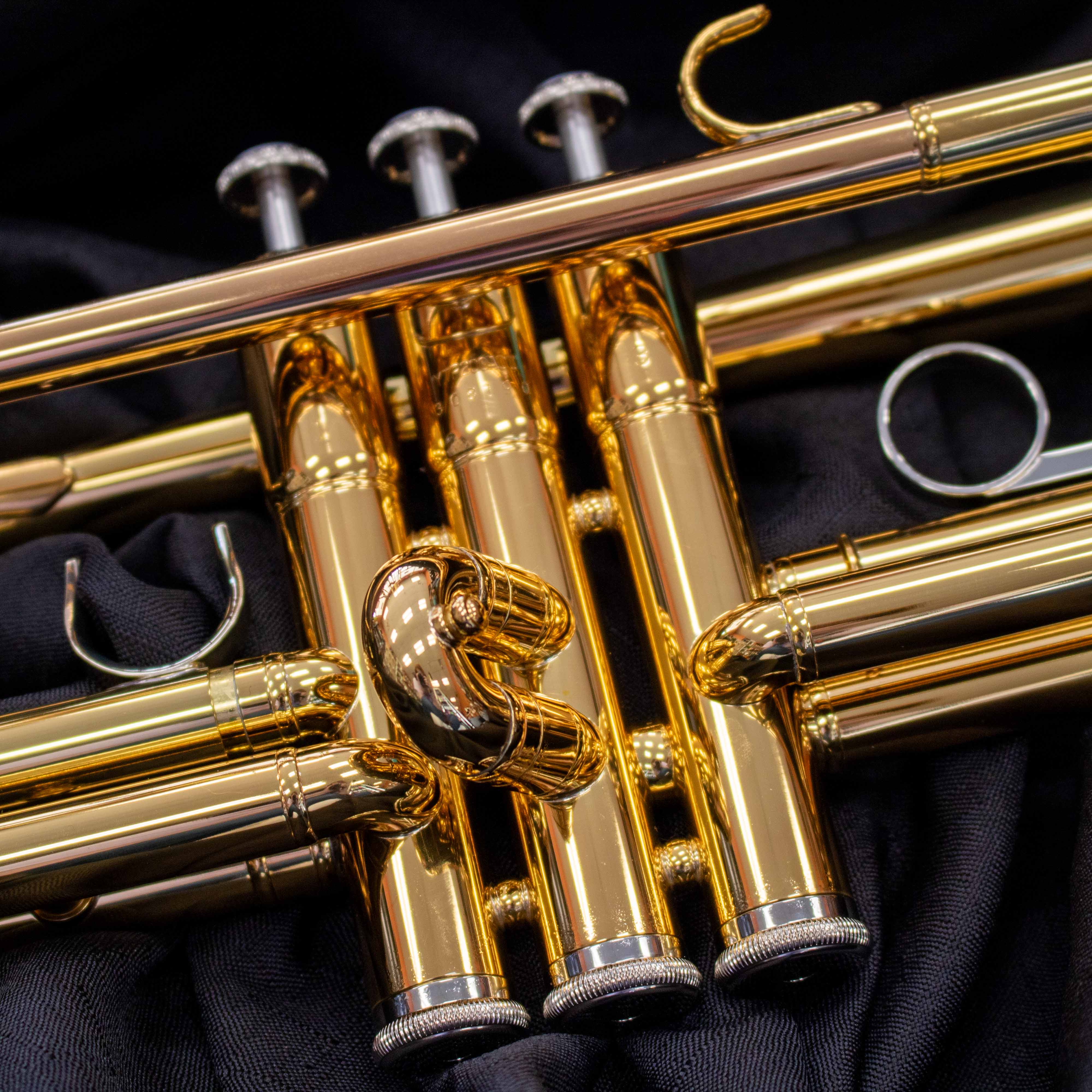Clarinet being Repaired