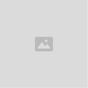 Yamaha YAS-62111 Pro AlTo Sax Silver Plated